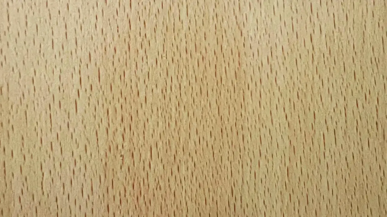 HAYA